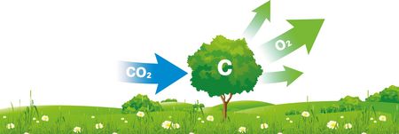 Durch Holz als Grundrohstoff wird CO2 gebunden, die Holzbauweise ist deshalb ökologisch wertvoll
